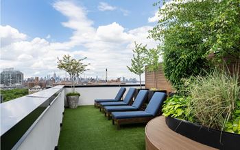 a roof terrace with blue lounge chairs and green turf